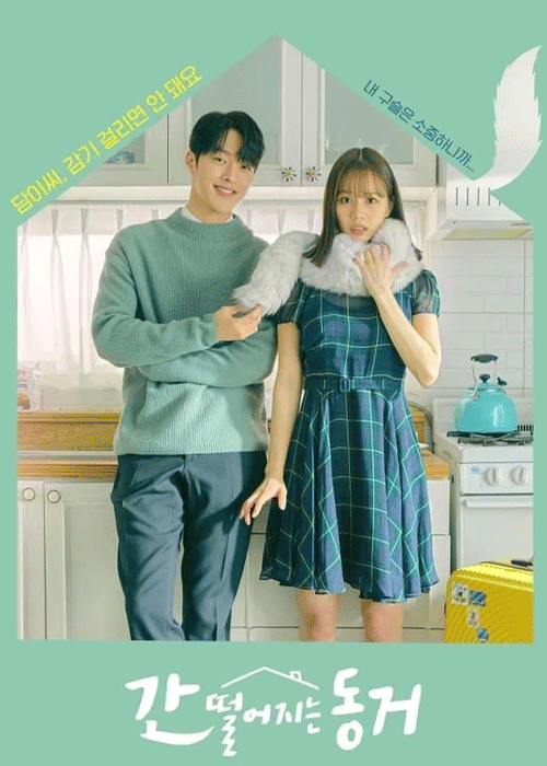 ดูซีรี่ย์ รูมเมตฉันคือคุณชายจิ้งจอก (2021) My Roommate is a Gumiho EP.1-16 จบ ซับไทย