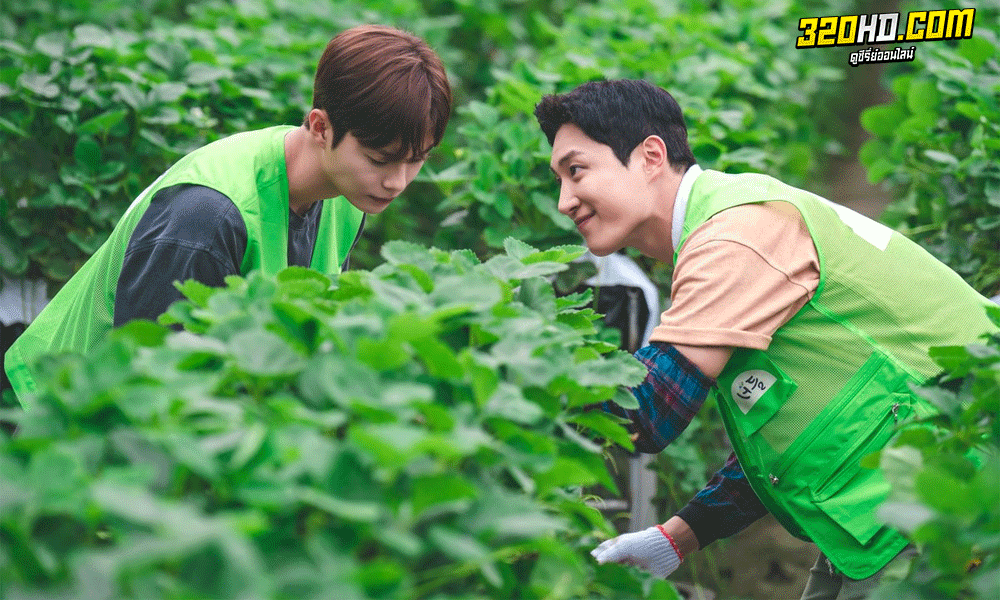  Love Tractor (2023) บรรทุกหัวใจใส่แทรกเตอร์