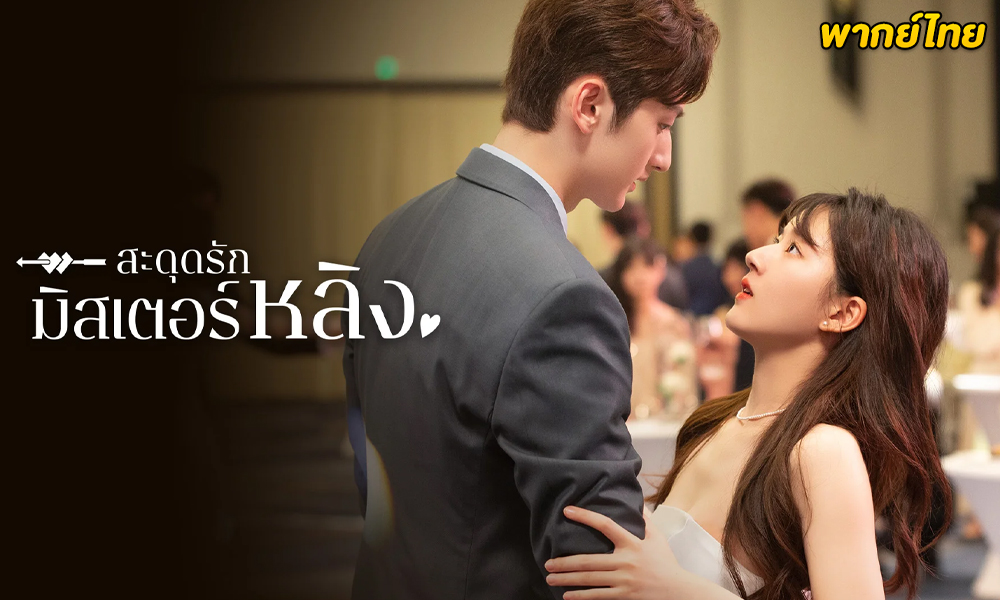ดูซีรี่ย์ สะดุดรักมิสเตอร์หลิง พากย์ไทย