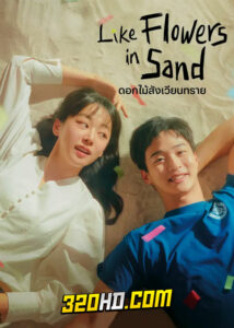 ดูซีรี่ย์ Like Flowers in Sand (2023) ดอกไม้สังเวียนทราย EP.1-12 ซับไทย