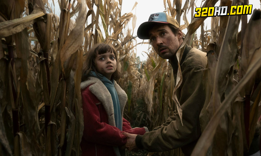 ดูซีรี่ย์ The Signal (2024) สัญญาณ