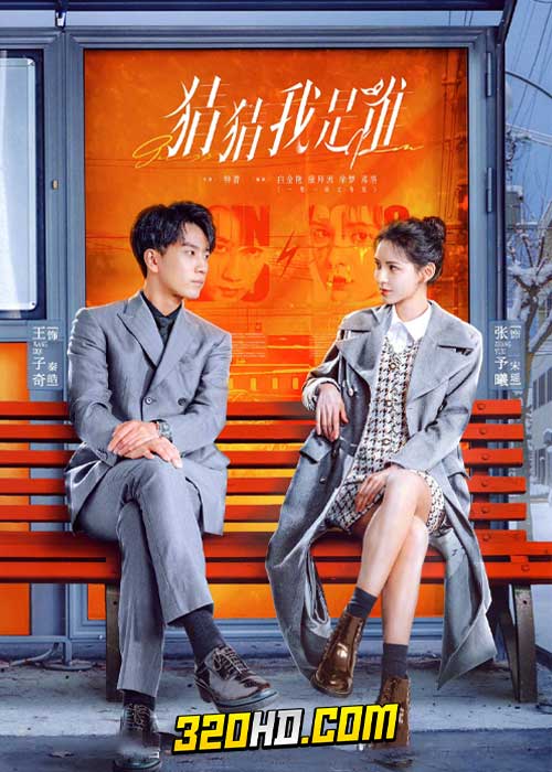 ดูซีรี่ย์จีน Guess Who I Am (2024) ป่วนรักคุณชายตัวปลอม EP.1-24 ซับไทย