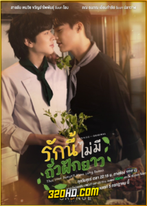 ดูซีรี่ย์ไทย รักนี้ไม่มีถั่วฝักยาว This Love Doesn’t Have Long Beans (2024) ย้อนหลัง EP.1-10 (จบ)