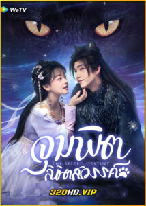 ดูซีรี่ย์ The Seized Destiny จุมพิตลิขิตสวรรค์ (2025) ซับไทย EP.1-20 (จบ)