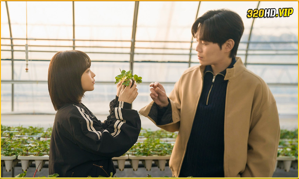 Our Unwritten Seoul (2025) เขียนชีวิตใหม่ในกรุงโซล